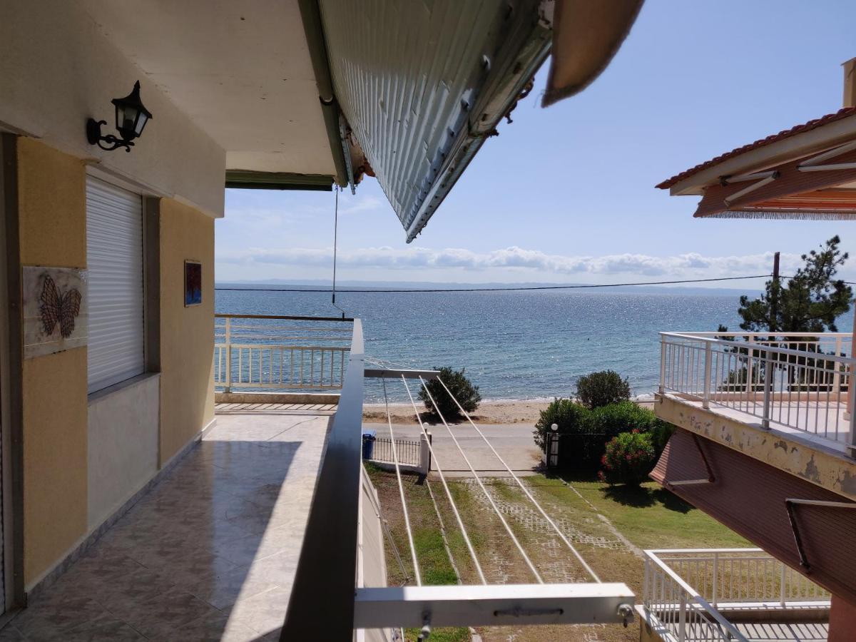 Entire Appartment 50M From Sea - Spiros Metamorfosi  Exteriér fotografie